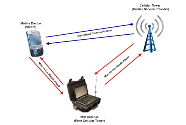 wp-1554147586764 image